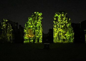 El jueves vuelve el espectáculo de Imagen y Sonido en San Ignacio Miní