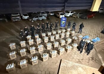 Incautaron en Irigoyen cigarrillos ilegales valuados en más de $50 millones