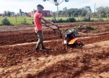 Desarrollan en Nemesio Parma un cinturón verde productivo