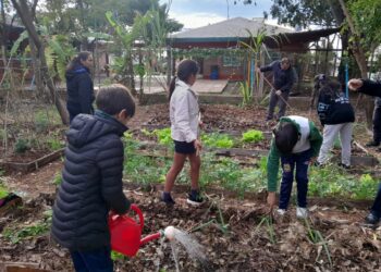 Red Verde: una iniciativa que revaloriza la huerta como herramienta social