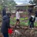 Red Verde: una iniciativa que revaloriza la huerta como herramienta social
