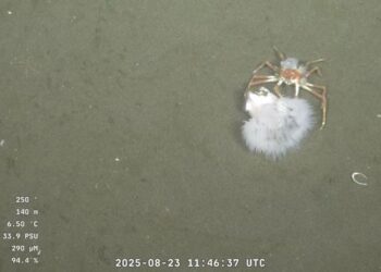 Uruguay comenzó una expedición sin precedentes al fondo del mar