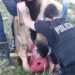 Rescataron a un niño que cayó en un pozo de 8 metros en Apóstoles