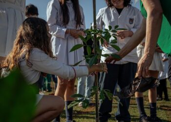 Posadas tiene un nuevo bosque urbano en la costanera