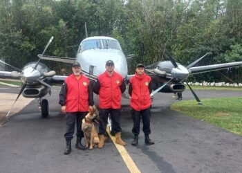 Midas, el perro rescatista de Iguazú, se sumó a la búsqueda de un empresario argentino en el Chaco paraguayo