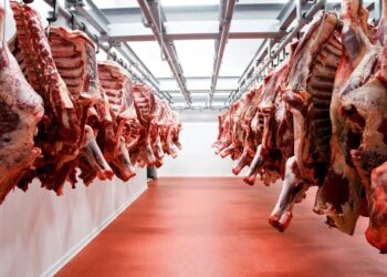 Alerta en el sector: la importación de carne desde Brasil es la más alta desde 1997