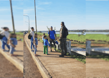 Carpinchos en la Costanera de Posadas: atractivo turístico y compromiso con la preservación