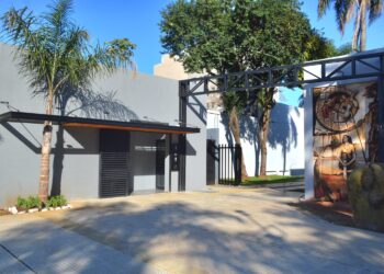 Avanza la obra de renovación del Paseo Bosetti