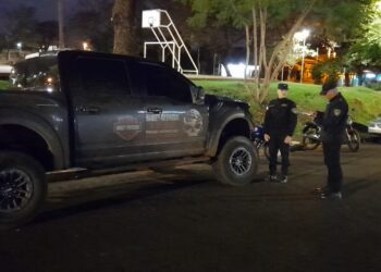 Indignación en Posadas por la muerte de un perro: secuestraron la camioneta involucrada