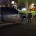 Indignación en Posadas por la muerte de un perro: secuestraron la camioneta involucrada