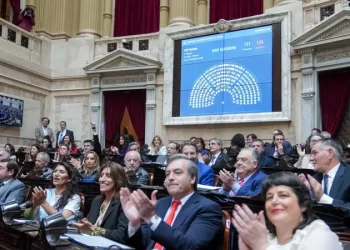 Diputados bajó los vetos al Garrahan y universidades