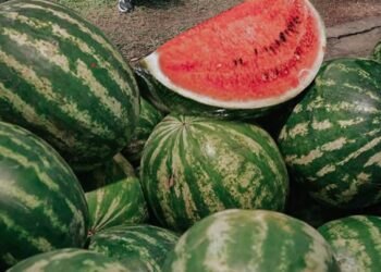 Impulsan el crecimiento de la producción de sandías y melones misioneros