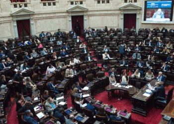 Garrahan y Universidades: la oposición convocó a una sesión en Diputados para rechazar los vetos de Milei