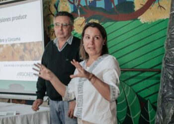 Misiones impulsa la producción de jengibre y cúrcuma