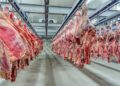 El Gobierno extendió la quita temporal de retenciones también a las carnes bovinas y avícolas