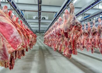 El Gobierno extendió la quita temporal de retenciones también a las carnes bovinas y avícolas