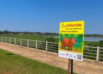 Ecología y estudiantes instalaron  cartelería sobre los carpinchos en la costanera del acceso oeste