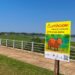 Ecología y estudiantes instalaron  cartelería sobre los carpinchos en la costanera del acceso oeste