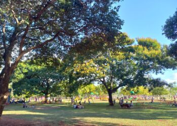 El festival Por los Jóvenes Todo: será en el Parque de la Ciudad
