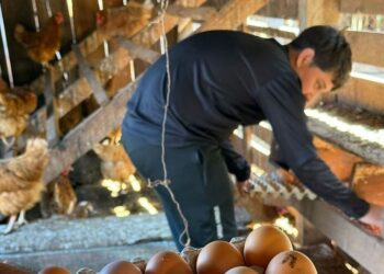 Los jóvenes tendrán más oportunidades en la chacra