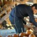 Los jóvenes tendrán más oportunidades en la chacra
