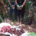 Guardaparques detuvieron a cazadores furtivos en el Parque Provincial Urugua-í