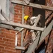 La Cámara de la Construcción alertó sobre la crisis del sector y llamó a implementar un “plan federal”
