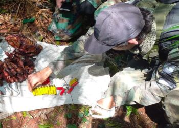 Detuvieron a cazadores furtivos en el Parque Provincial Urugua-í