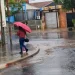 Domingo con alerta amarilla: ráfagas de casi 80 km por hora y tormentas durante el día