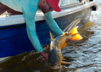 Misiones moderniza el acceso a la licencia de pesca deportiva
