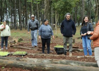 Posadeñas del barrio Sol de Misiones levantan huerta comunitaria