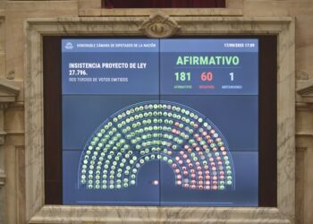 Diputados rechazó los vetos al Garrahan y a las universidades