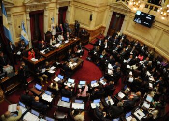 La Renovación misionera rechazó los vetos de Milei