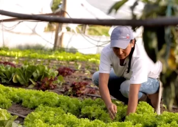 Capacitación para mujeres rurales sobre agricultura regenerativa