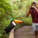Oberá celebra el Día Mundial de la Observación de Aves con un paseo guiado para “escuchar el canto del monte”