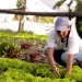 Capacitación para mujeres rurales sobre agricultura regenerativa