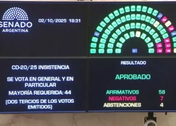 El Senado rechazó los vetos a las leyes de Financiamiento Universitario y de fondos para el Garrahan