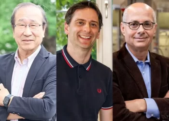 Premio Nobel de Química por el desarrollo de una nueva forma de arquitectura molecular