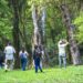 Este fin de semana jornada de observación de aves en Corpus