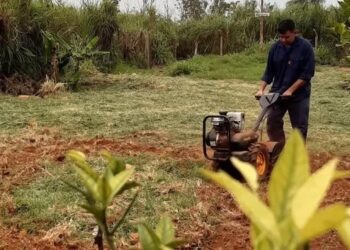 Avanza el trabajo de fortalecimiento de la huerta en la unidad Penal N° 6