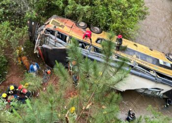 Al menos siete muertos en tragedia vial sobre Ruta 14