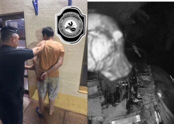 Un hombre atacó a su madre y causó cortes a un policía