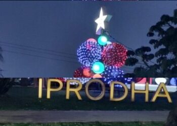 Iprodha: lanzaron un concurso de árboles navideños en Posadas