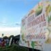 Nueva edición de la Fiesta de las Frutas Tropicales en Almafuerte