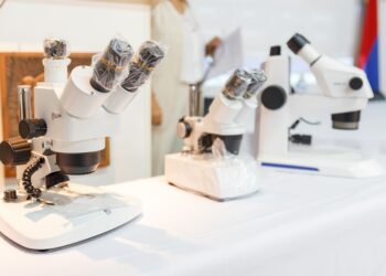 Preparación sanitaria para el período 2025/2026 de enfermedades transmitidas por mosquitos