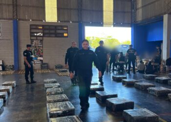 La Policía desarticuló un centro de acopio en Bonpland con más de tres toneladas de marihuana