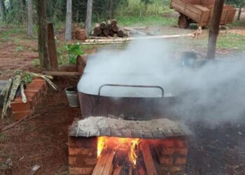 Una chacra multiproductiva de Alba Posse mantiene la tradición centenaria de elaborar melado