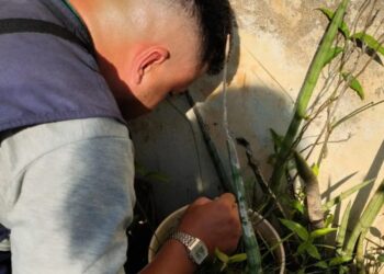 Convocan a personal para el operativo LIRAa en Posadas
