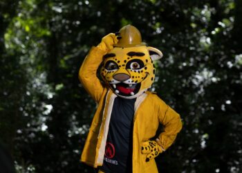 Prevención de incendios: Misiones potencia su estrategia anual con la campaña “No me quemés”