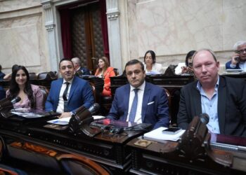 El Frente Renovador Neo y una disidencia en la defensa de la discapacidad y la emergencia universitaria
